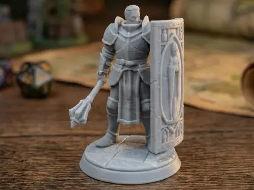 Holy Paladin - Heavy Armor Tank