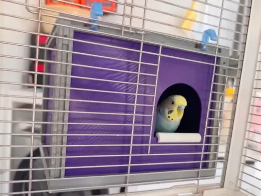 Modular Bird Loft - Nest Box