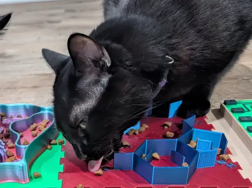 Curious Paws - Dopamine and Serotonin Slow Feeder