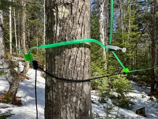 Tension Hooks for SAP Tubing (3/16 & 5/16)
