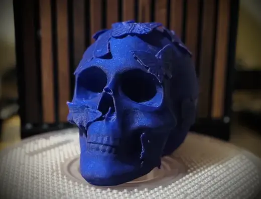 Butterfly Skull