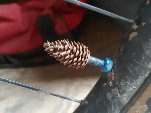 Pinecones Valve Cap Update 1.3 Schrader Valve