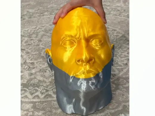 life sized DAWAYN THE ROCK head
