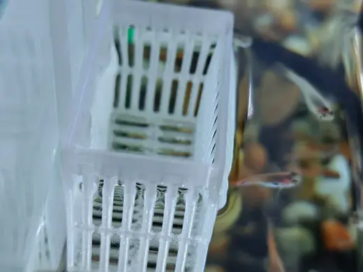 简易型鱼缸水培篮分体挂件