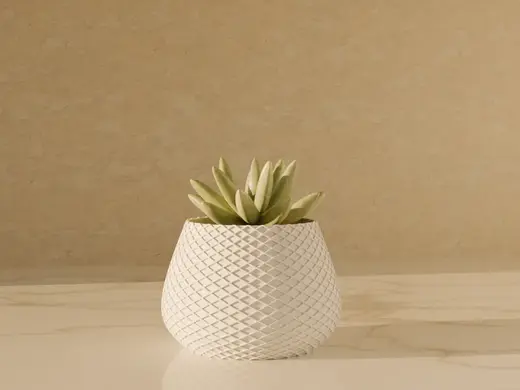 Small Plant Vase