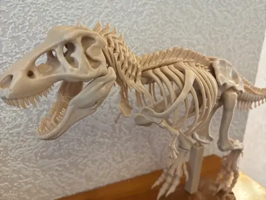 T.Rex Skeleton Strengthened support stand