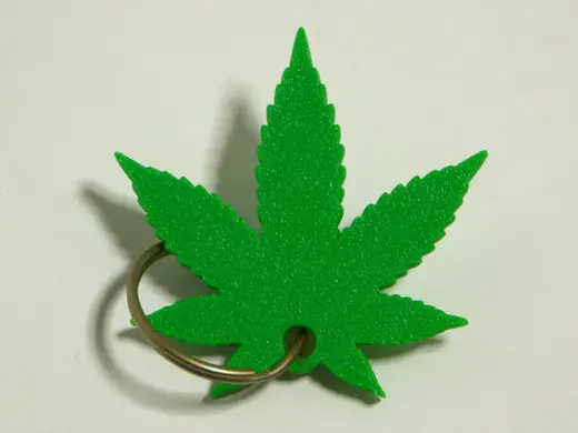 Botanical Leaf Keychain (50mm) | No Supports