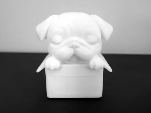 Pug in Box