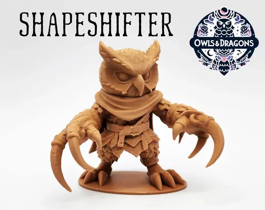 The Shapeshifter - Owls & Dragons