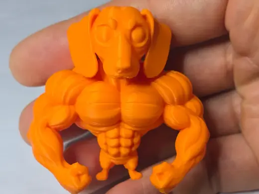 Cane bassotto bodybuilder