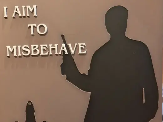 I aim to misbehave - Mal Reynolds - Firefly