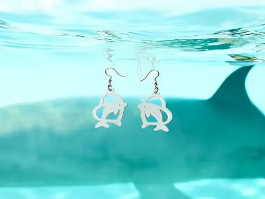 Heart dolphin earrings