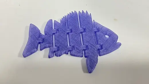 可活动石斑鱼/flexible grouper fish