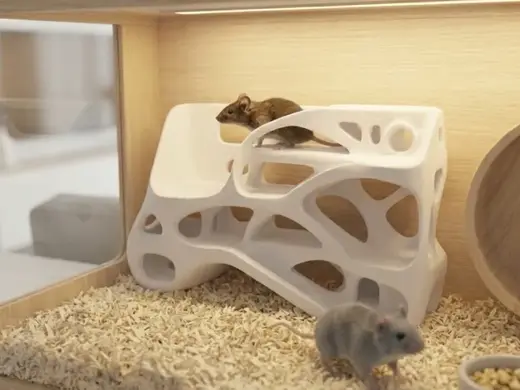 Organic Mouse Mansion | Hamster Palast & Spielhaus
