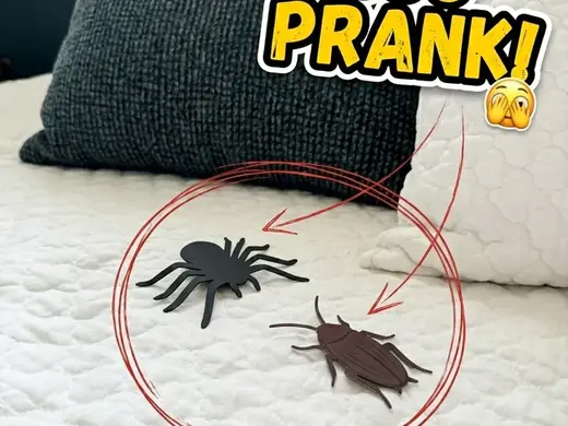 Realistic Spider & Roach Prank - NO AMS
