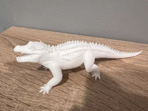 Quinkana - Reptiles - Historic - Crocodylian