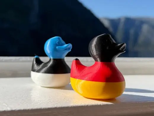 Tri-Color Stripe Duck
