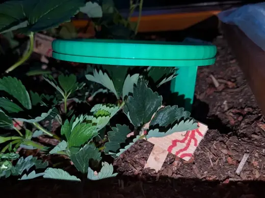 Natural Mimicking Rain Waterer