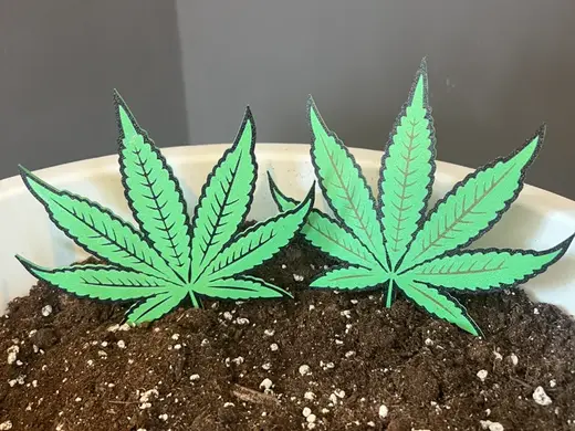 Weed / Hanf Gartenstecker