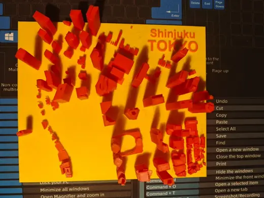 Topographie Shinjuku Tokyo JAPON