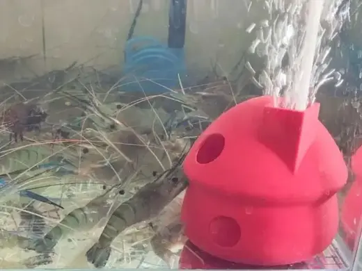 鱼缸躲避屋 鱼缸摆件 鱼缸造景
