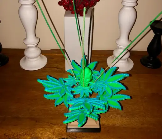 Marijuana coaster tree and incense holder