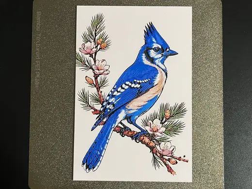 Blue Jay on Blooming Tree Hueforge