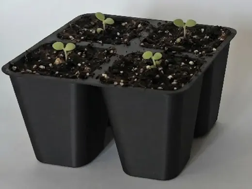 Plant Seedling Starter Tray Standard 45mm 14 Sizes