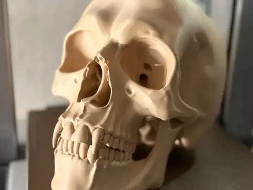 Detalierter Vampirschädel
