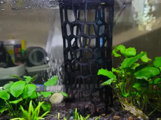 Vase to Aquarium