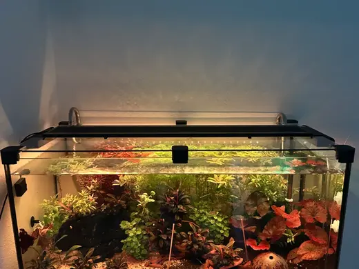 Deckelhalter Aquarium
