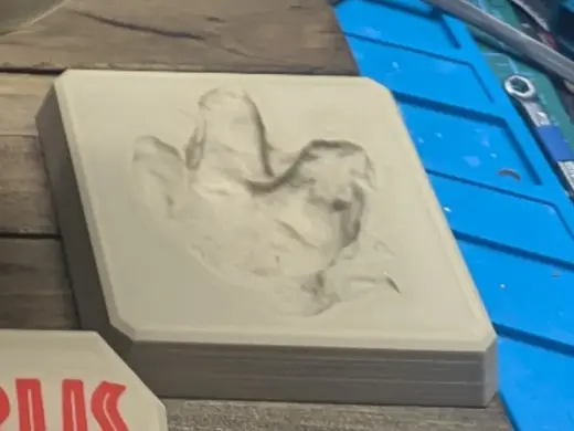 Tyrannosaurus Rex Footprint