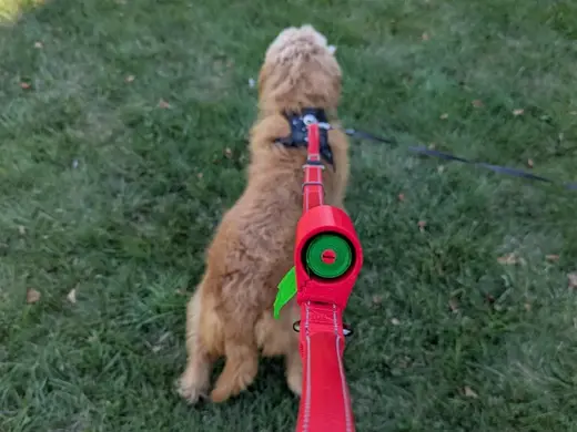 Leash-Mounted Poop Bag Dispenser