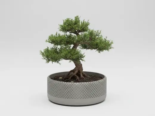 HomePod-Style Planter 180*180*70mm