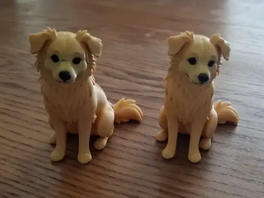 Nova Scotia Duck Tolling Retriever