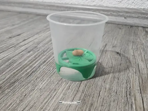 Keim-O-Mat für Becher ,Keimhilfe für Pflanzenkeim