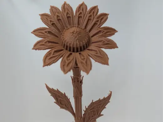 The Cathedral Daisy
