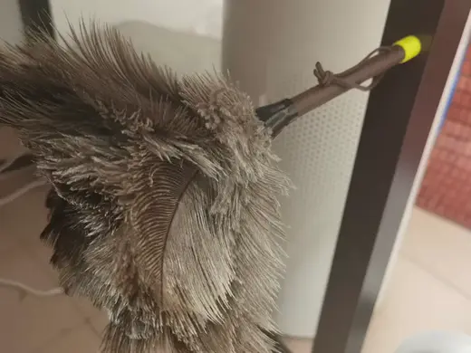 给驼飞飞鸡毛掸加磁吸