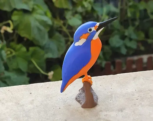 Martin pescatore kingfisher bird