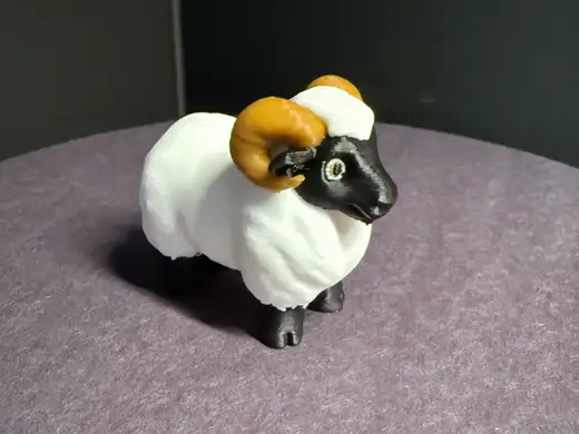 Mia the Connemara Sheep Ram VBS
