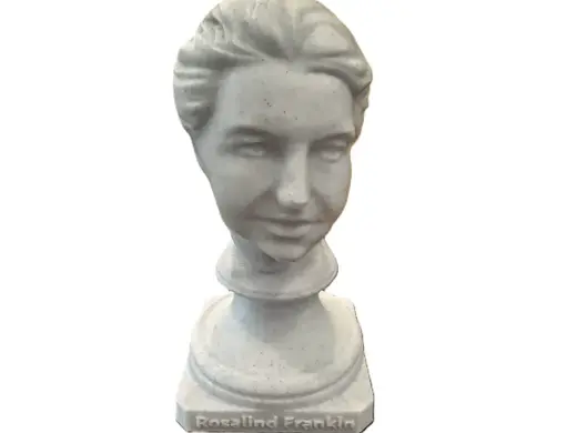 Rosalind Franklin Bust