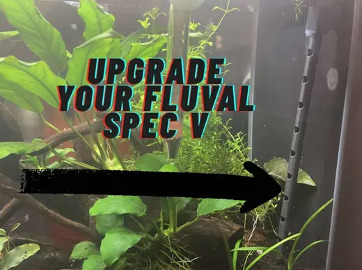 Spray Bar for Fluval Spec V Aquarium