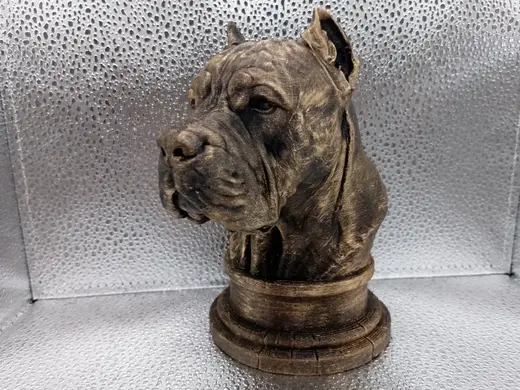Presa Canario Bust