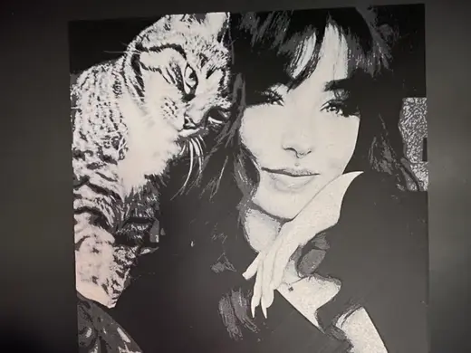Cat and Woman