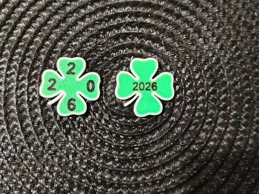 Lucky Coin – 2026 | Two Versions