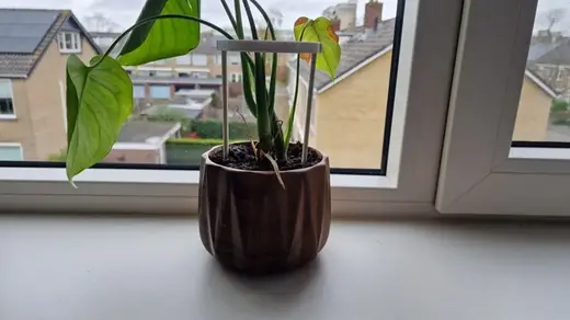 plant support stand/cage