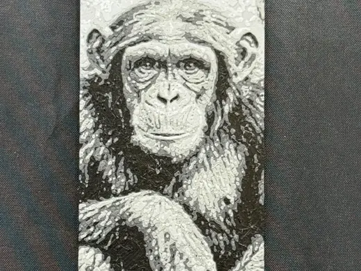 Chimpanzee bookmark Pencil Style Art
