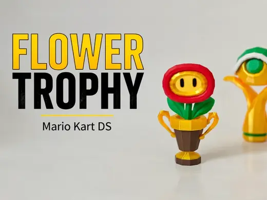 Mario Kart DS - Flower Cup