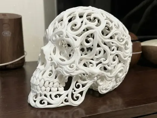 Teschio Voronoi Ornamentale da Collezione
