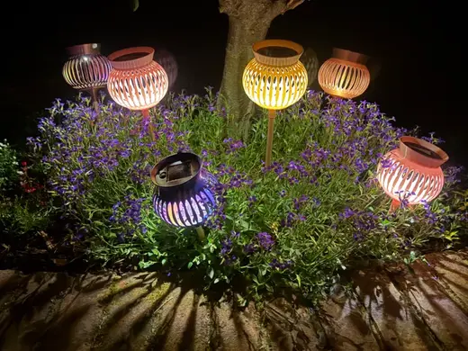 Solar Poppy Stake Light